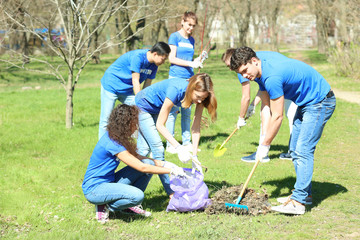 Group of volunteers working in park