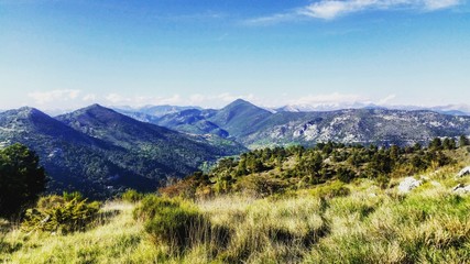 purete du paysage