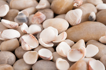 Sea pebbles background, natural seashore stones