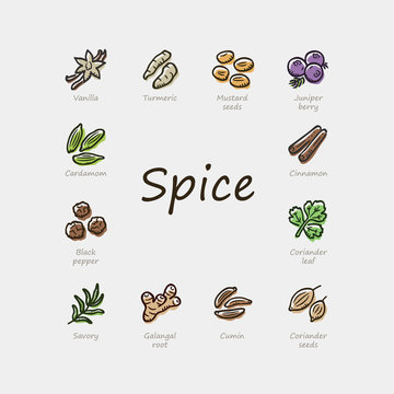 Set of colorful spice icons isolated on light background.