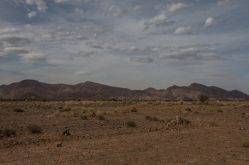 Morocco steppe landscape with trees and mount at background. Area between Atlas mountains range and Sahara desert.