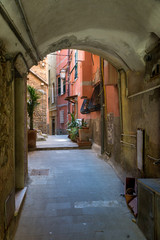 Fototapeta premium Gasse w Riomaggiore, Cinque Terre, Liguria, Włochy