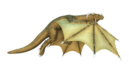 Fototapeta premium 3D Rendering Fantasy Dragon on White