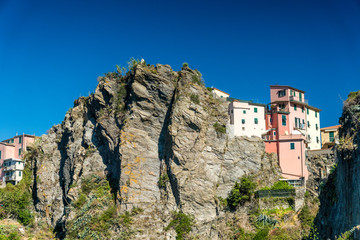 Häuser auf Klippen in Manarola, Cinque Terre, Liguria, Italien