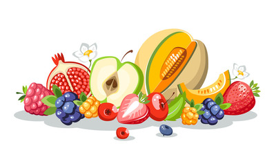 fruits berries composition lie down melon horizontal harvest