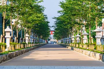 鎌倉　若宮大路　段葛