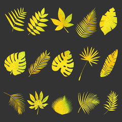 Set of leaves