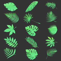 Set of leaves