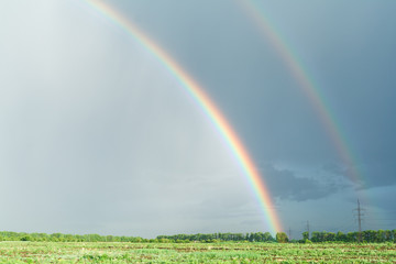 Rainbow over the green field. Landscape background