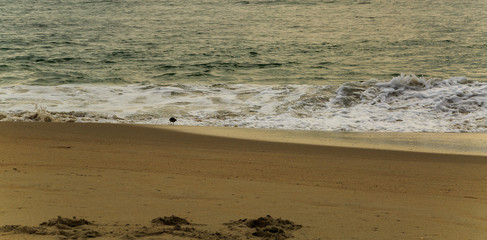 Beach scene in Nags Head NC sunrise on a clear blue day