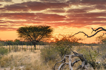 Namibia