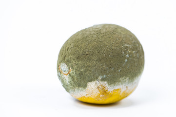 rotten lemons