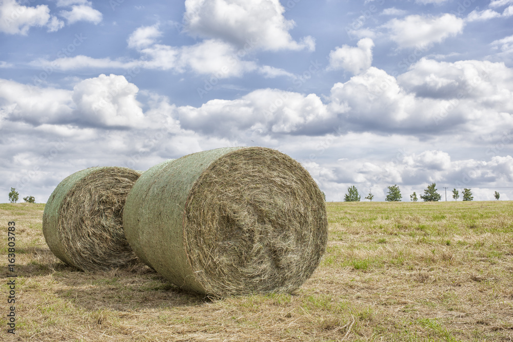 Wall mural two bales of straw