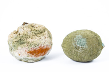 Rotten lemons and oranges