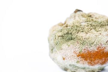 rotten and moldy orange