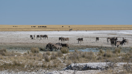 Namibia
