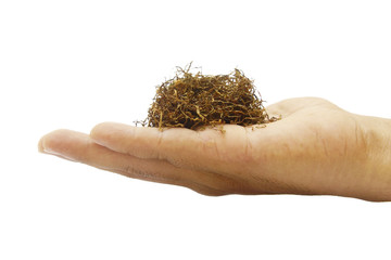 Tobacco Over White Background