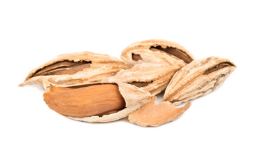 Uzbek almonds in shell