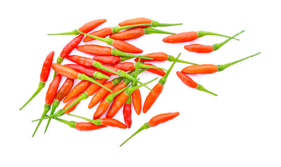chili pepper on white background