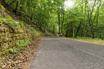 Fototapeta premium Straße durch den Wald bei Bad Dürkheim