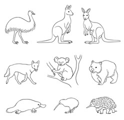 Set of vector Australian animals in contours