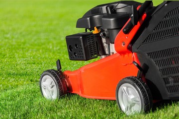 Obraz premium Lawn.