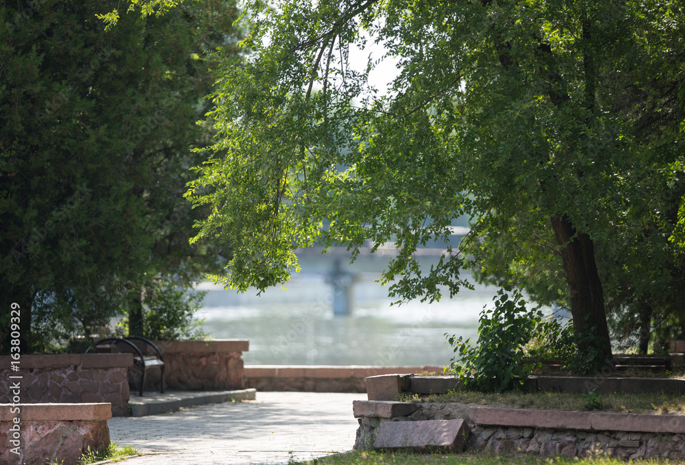 Canvas Prints View through trees on the river