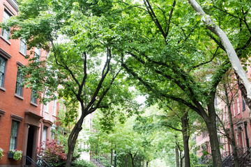 Tree lined residential street in the historic West Village neighborhood of Greenwich Village in...