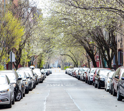 Cars Parked Along A City Street With A Canopy Of Trees Overhead In New York City