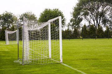 A soccer goal on the grass