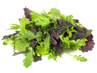 Pflücksalat - Blattsalat © ExQuisine