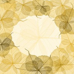 Obraz premium Yellow skeleton leaves frame i