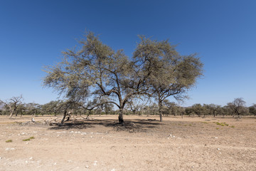 Namibia
