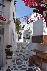 Greece street