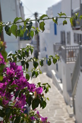 Greece's street