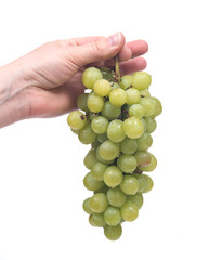 Young woman holding ripe organic grapes isolated on white background