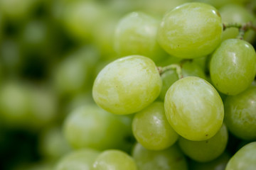 Macro shot of new harvest green-yellow grapes for sale at local farmers market