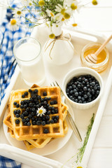 Healthy breakfast: Belgian waffles with blueberries, honey and milk decorated chamomile flowers on white wooden salver. Warm light. Selective focus