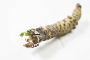 Wasabi root Japanese spice raw fresh vegetable food.