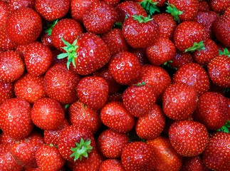 Red strawberries background. Healthy food