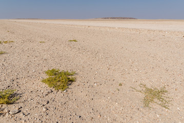 Namibia
