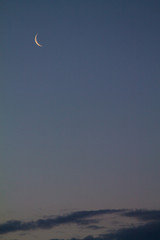 The moon in the evening sky