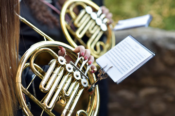 Detail of a french horn, Holy Week procession,Granada, Spain - obrazy, fototapety, plakaty