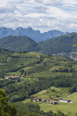 Fototapeta na wymiar Landscape on vineyards in Val Curone - Montevecchia (Italy)
