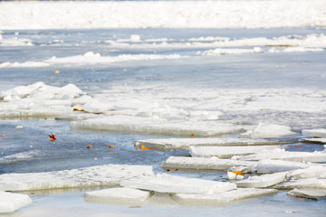 big chunk of ice in the river Danube on a winter day, near a coast