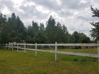 Płot © michalsen