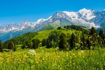 Keuken foto achterwand Mont Blanc Mont Blanc
