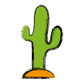 cactus icon imafe