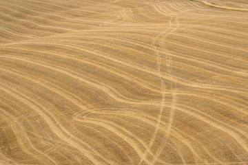 Summer landscape in Tuscany.