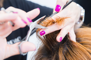 Naklejka premium hairdresser cutting hair to customer